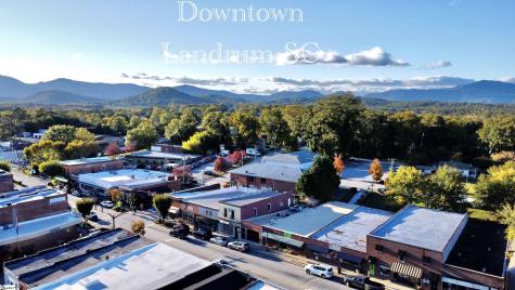 790 N Trade Ave Extension Landrum SC 29356