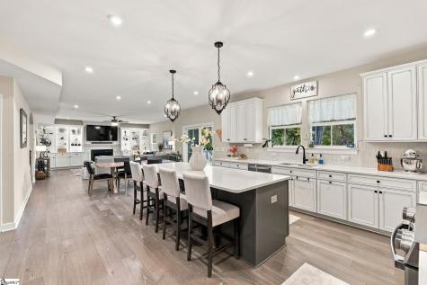 236 Chinook Drive Greenville SC 29607