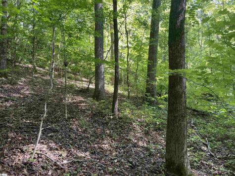297 Woodall Mountain Road Pickens SC 29671