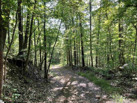 297 Woodall Mountain Road Pickens SC 29671