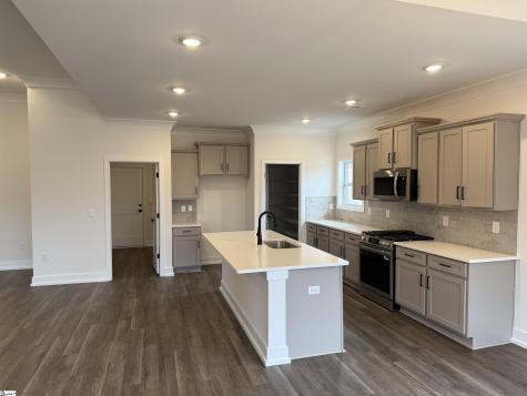 238 Rolling Waters Drive Greenville SC 29605