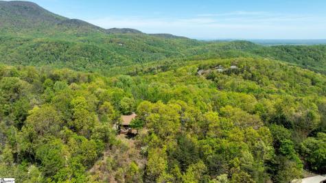 100 Eagle Rock Road Landrum SC 29356