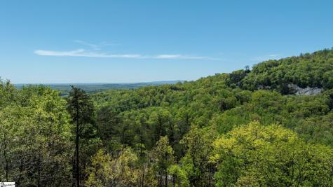 100 Eagle Rock Road Landrum SC 29356