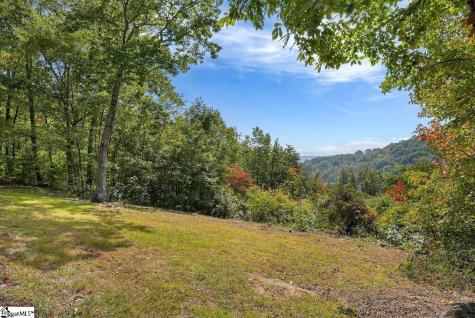 100 Eagle Rock Road Landrum SC 29356