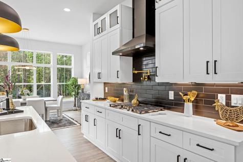 100 Pinelands Place Travelers Rest SC 29690