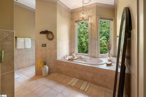 10 Spring Creek Trail Landrum SC 29356