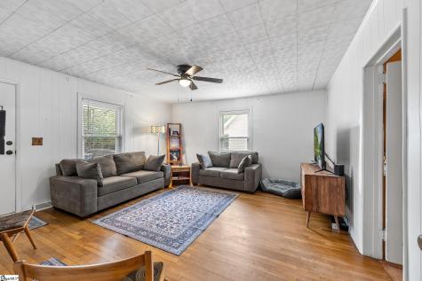 15 Webb Street Greenville SC 29605