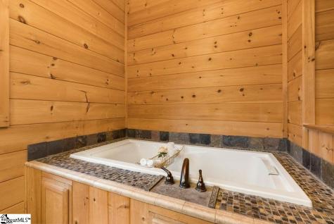 502 Caledonia Loop Landrum SC 29356