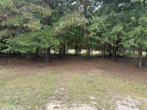 49 Joe Road Bishopville SC 29010
