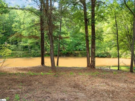 320 Bates View Drive Travelers Rest SC 29690