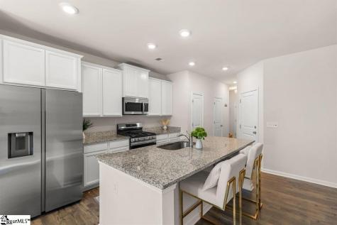 19 Apollo View Lane Greenville SC 29607