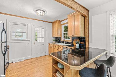 11 Tabor Street Greenville SC 29609