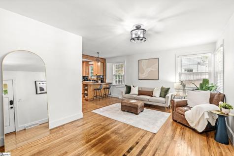 11 Tabor Street Greenville SC 29609