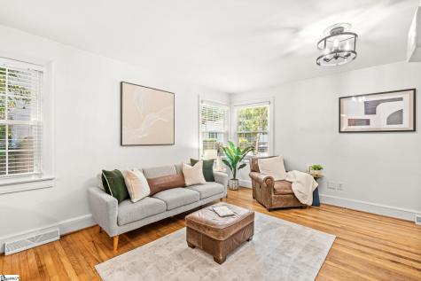 11 Tabor Street Greenville SC 29609