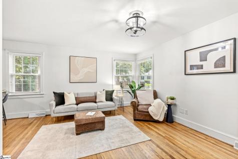 11 Tabor Street Greenville SC 29609