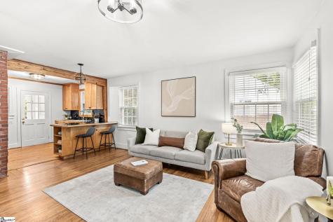 11 Tabor Street Greenville SC 29609