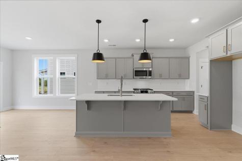 122 Terpack Court Gray Court SC 29645