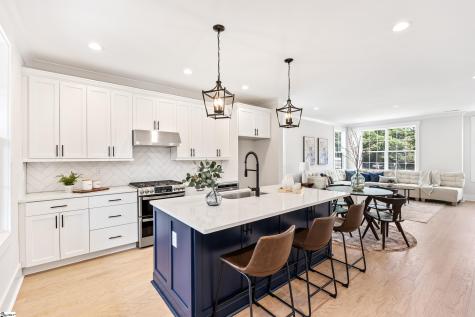 1305 Pendleton Street Greenville SC 29611