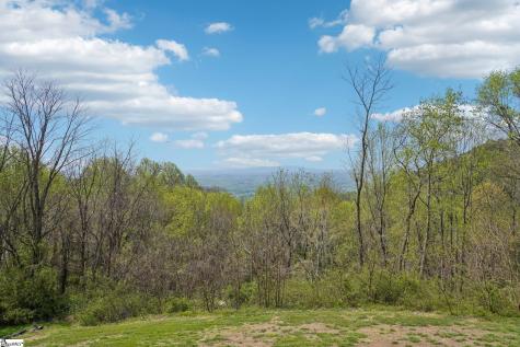 68 Raven Road Landrum SC 29356