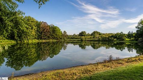 959 Turkey Farm Road Chesnee SC 29323