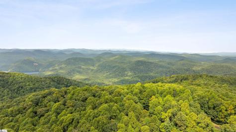 4 Morning Glory Way Landrum SC 29356