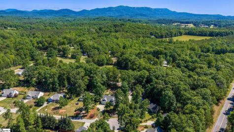 23 Wildberry Way Travelers Rest SC 29690