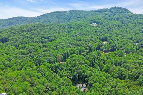 50 Pleasant Valley Trail Travelers Rest SC 29690