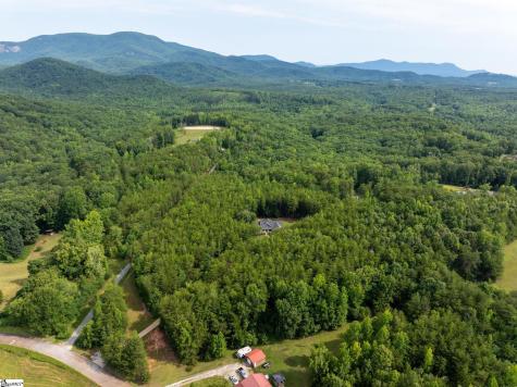 110 Gosnell Farmer Road Landrum SC 29356