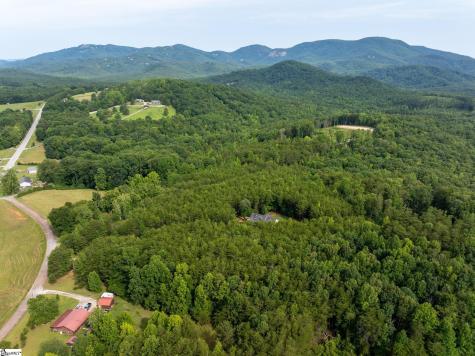 110 Gosnell Farmer Road Landrum SC 29356