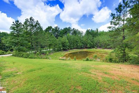1217 Pleasant Hill Road Landrum SC 29356