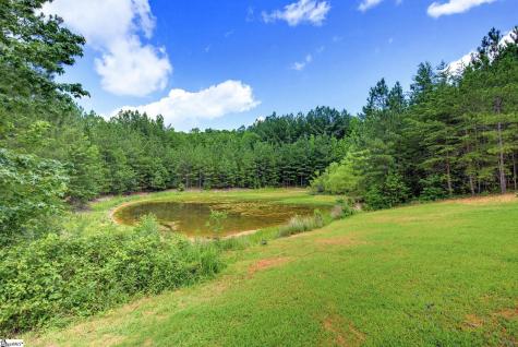 1217 Pleasant Hill Road Landrum SC 29356
