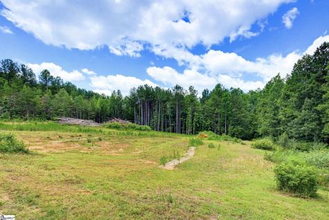 1217 Pleasant Hill Road Landrum SC 29356