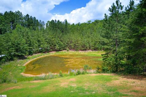 1217 Pleasant Hill Road Landrum SC 29356