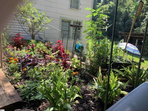 207 Ellis Avenue Abbeville SC 29620