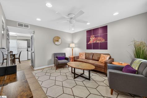 250 Elm Street Clemson SC 29631