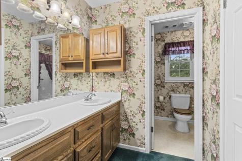 305 Oak Brook Way Taylors SC 29687