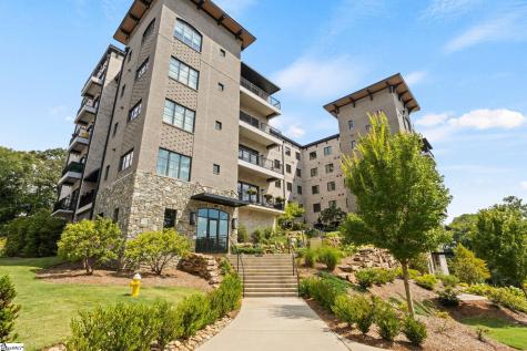 95 Dr. David C. Francis Street Greenville SC 29601