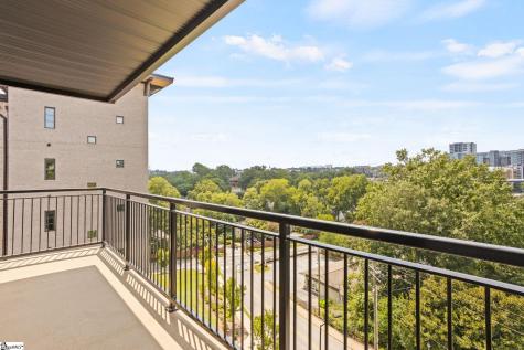 95 Dr. David C. Francis Street Greenville SC 29601