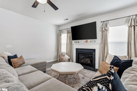 246 Bronson Ridge Anderson SC 29621