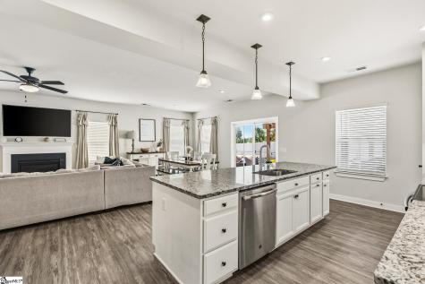 246 Bronson Ridge Anderson SC 29621