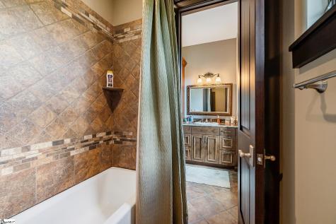 29 High Cliffe Way Landrum SC 29356
