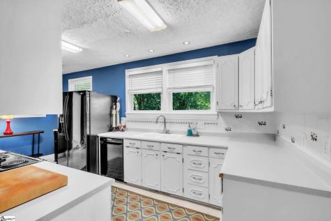 13 W Montclair Avenue Greenville SC 29609