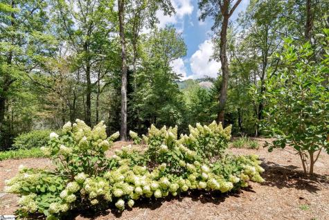 610 Plumley Summit Road Landrum SC 29356