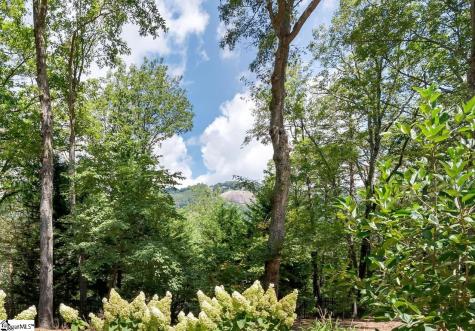 610 Plumley Summit Road Landrum SC 29356