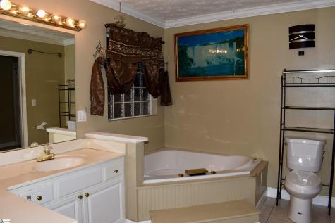 381 Royal Burgess Drive Campobello SC 29322