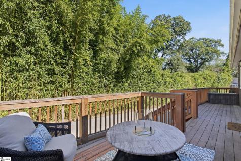 19 David Street Greenville SC 29609