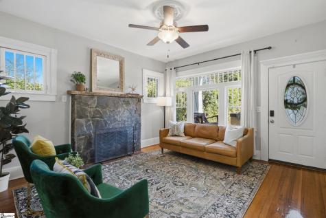 19 David Street Greenville SC 29609