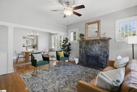 19 David Street Greenville SC 29609