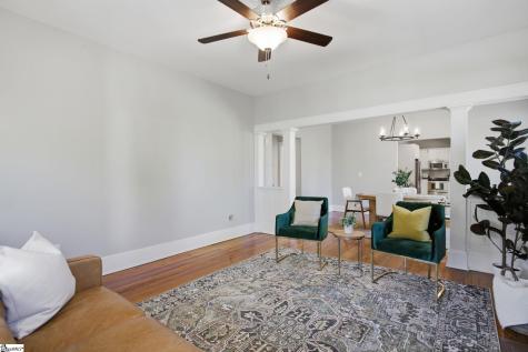 19 David Street Greenville SC 29609