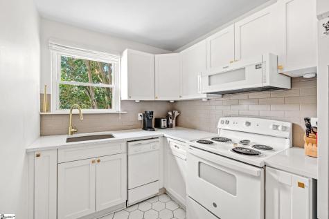 100 Lewis Drive Greenville SC 29605
